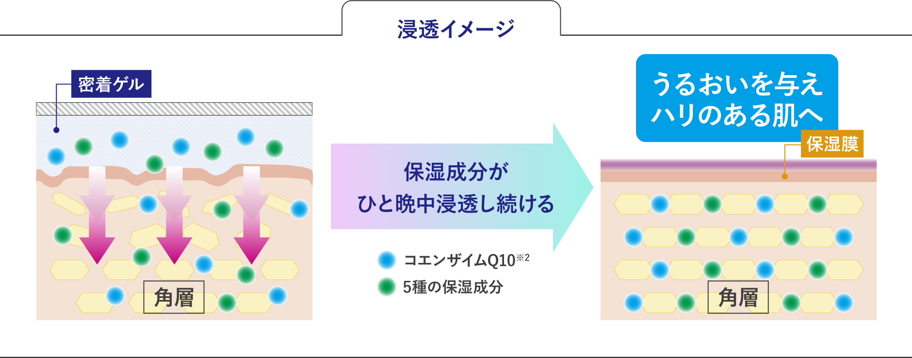 浸透イメージ